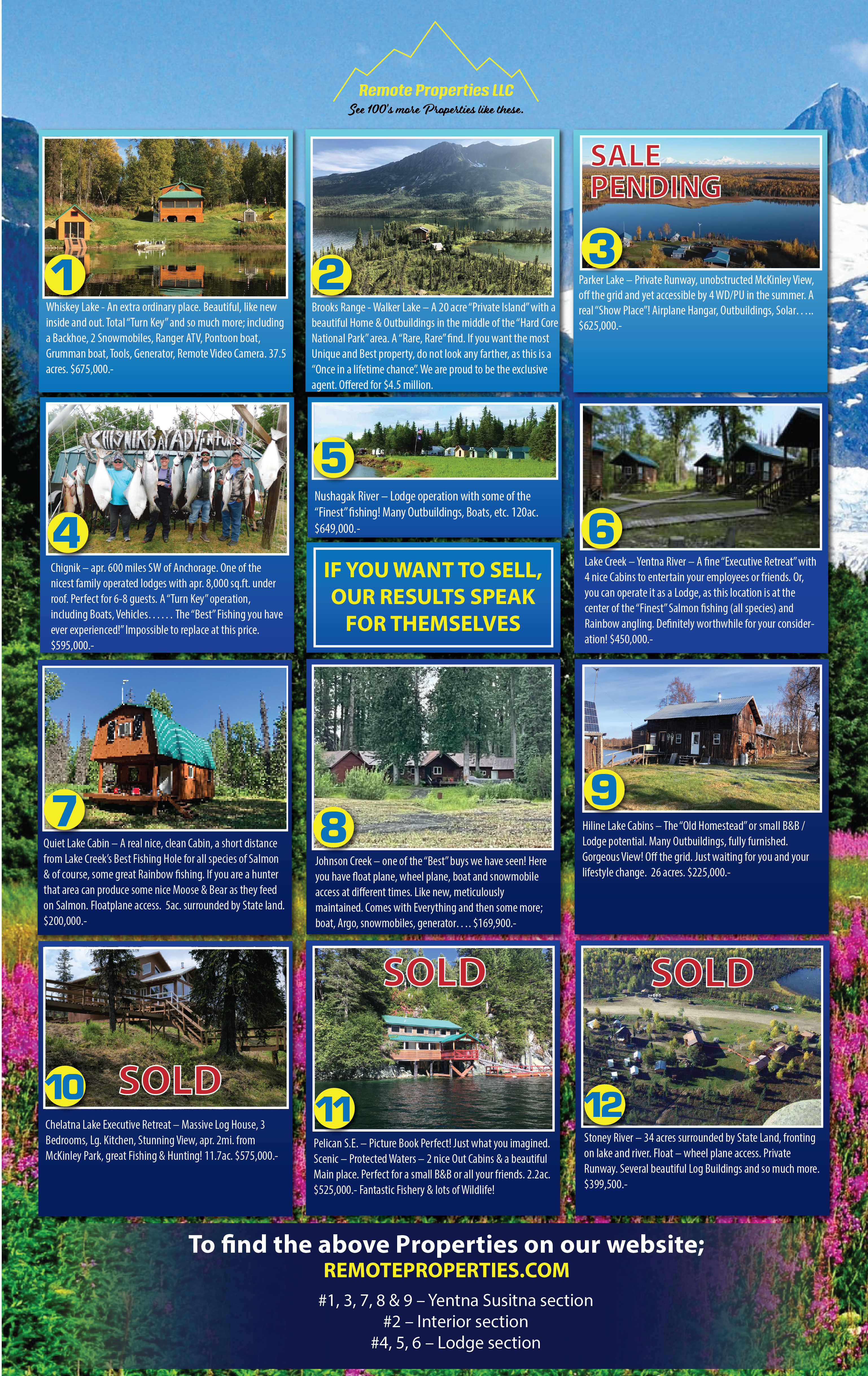 REMOTE PROPERTIES Full Back Page